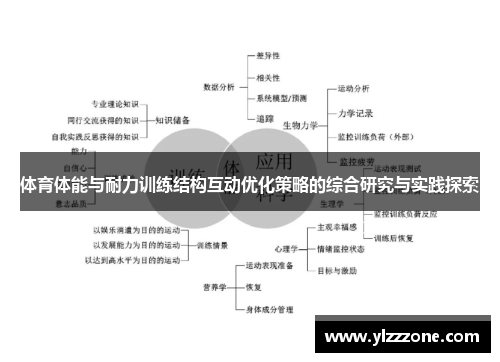 体育体能与耐力训练结构互动优化策略的综合研究与实践探索
