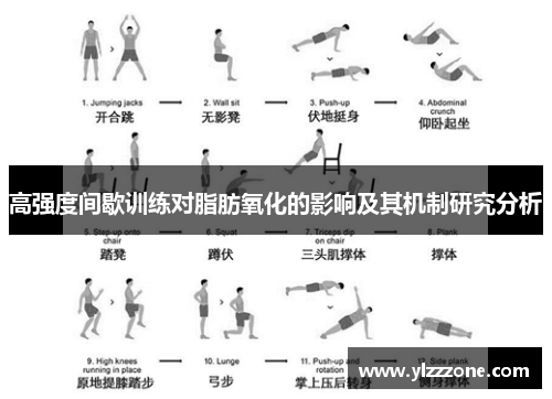 高强度间歇训练对脂肪氧化的影响及其机制研究分析