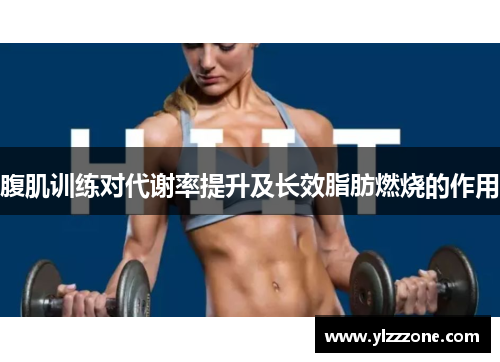 腹肌训练对代谢率提升及长效脂肪燃烧的作用